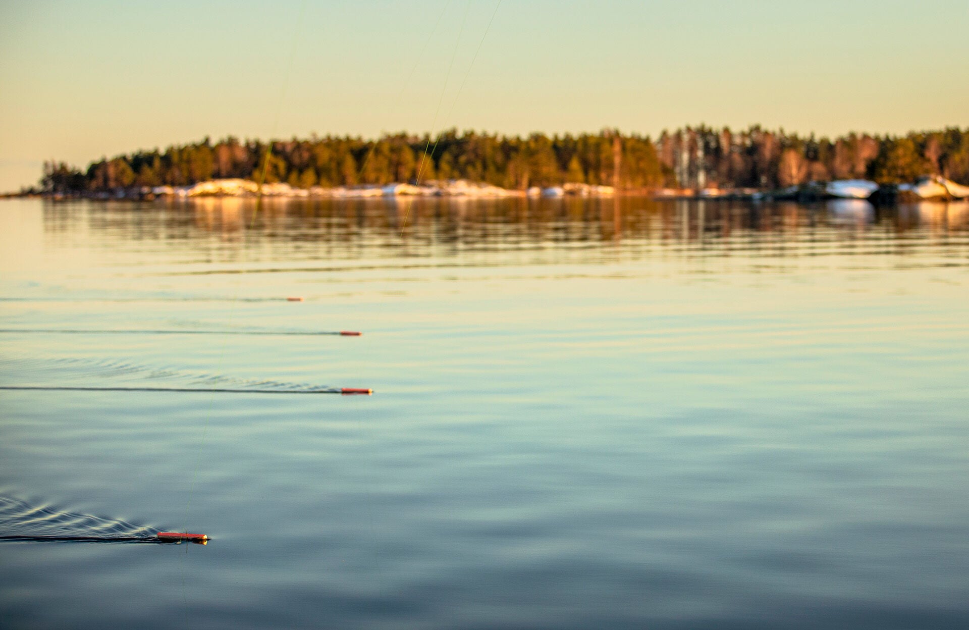  Das Schleppen ist eine der effizientesten Methoden, um Hechte zu suchen und zu fangen.  